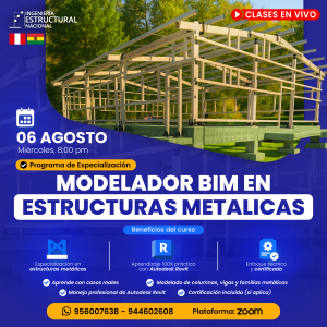 𝗕𝗜𝗠 𝗘𝗡 𝗘𝗦𝗧𝗥𝗨𝗖𝗧𝗨𝗥𝗔𝗦 𝗠𝗘𝗧𝗔́𝗟𝗜𝗖𝗔𝗦 l 𝗘𝗡 𝗩𝗜𝗩𝗢